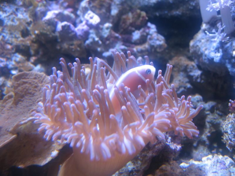 IMG 0008 (2)