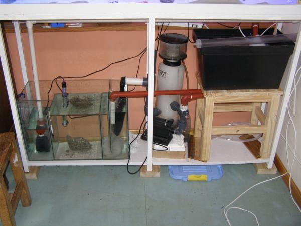 el sump...