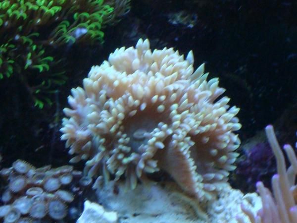 DSC00480