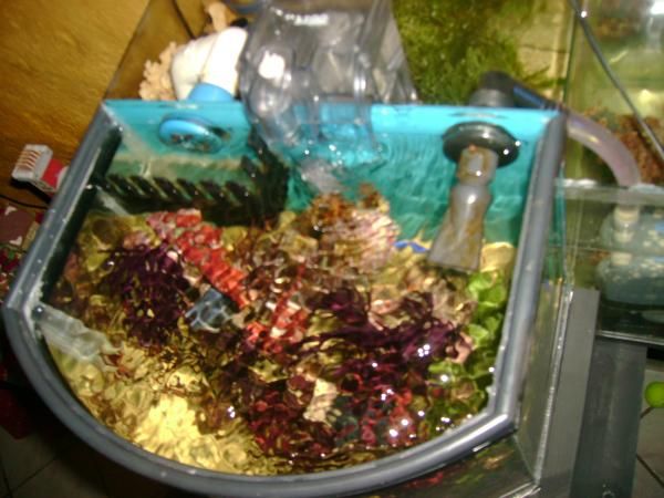 DSC02070