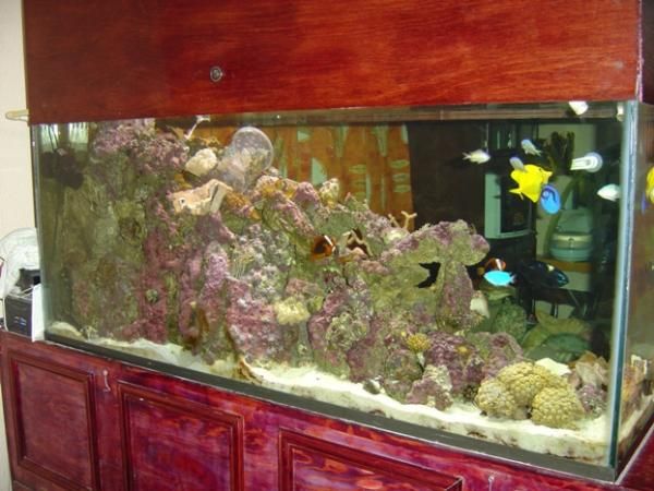 Lateral1 30/agos/2008