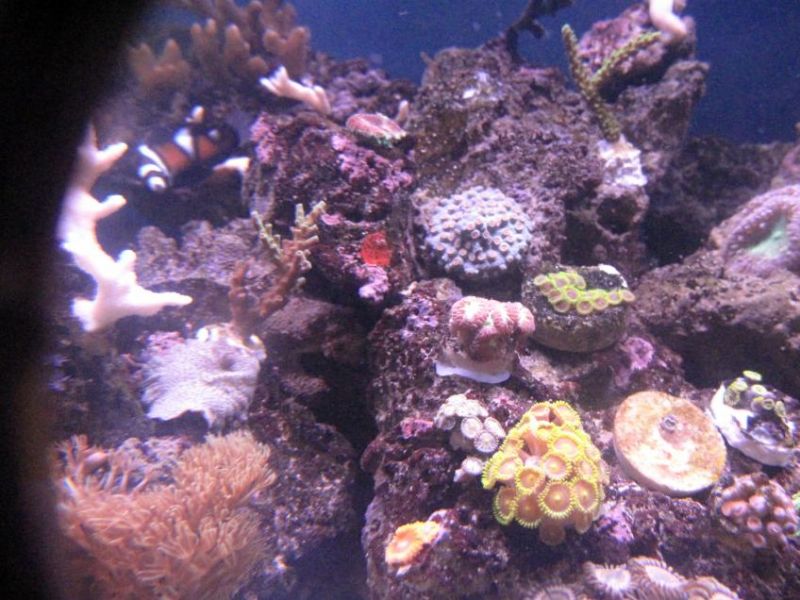 Foto 10