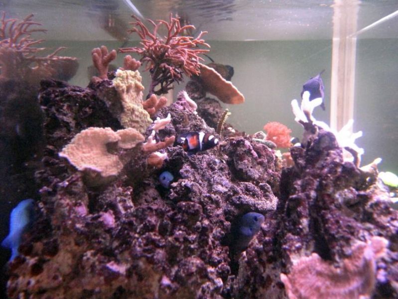 Foto 12
