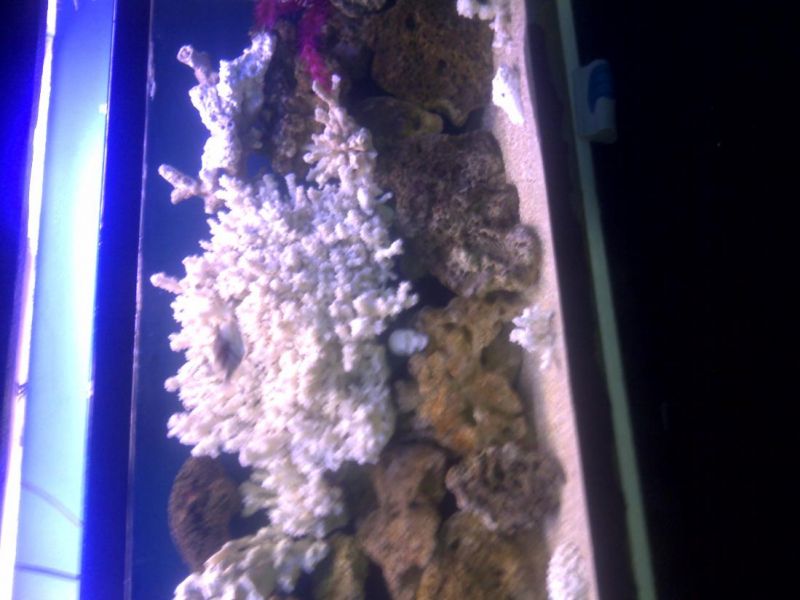 IMG 20120712 01026