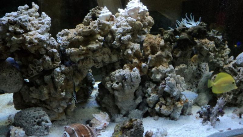 DSC00961