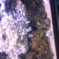 IMG 20120712 01026