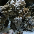 DSC00961