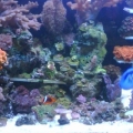 IMG00566 20120825 0955