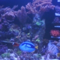 IMG00560 20120824 2031