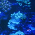 IMG00595 20121011 2106