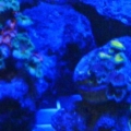 IMG00593 20121011 2105