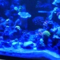 IMG00570 20120904 2111