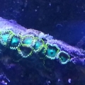 20130624 134829
