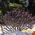 IMG_4703.JPG